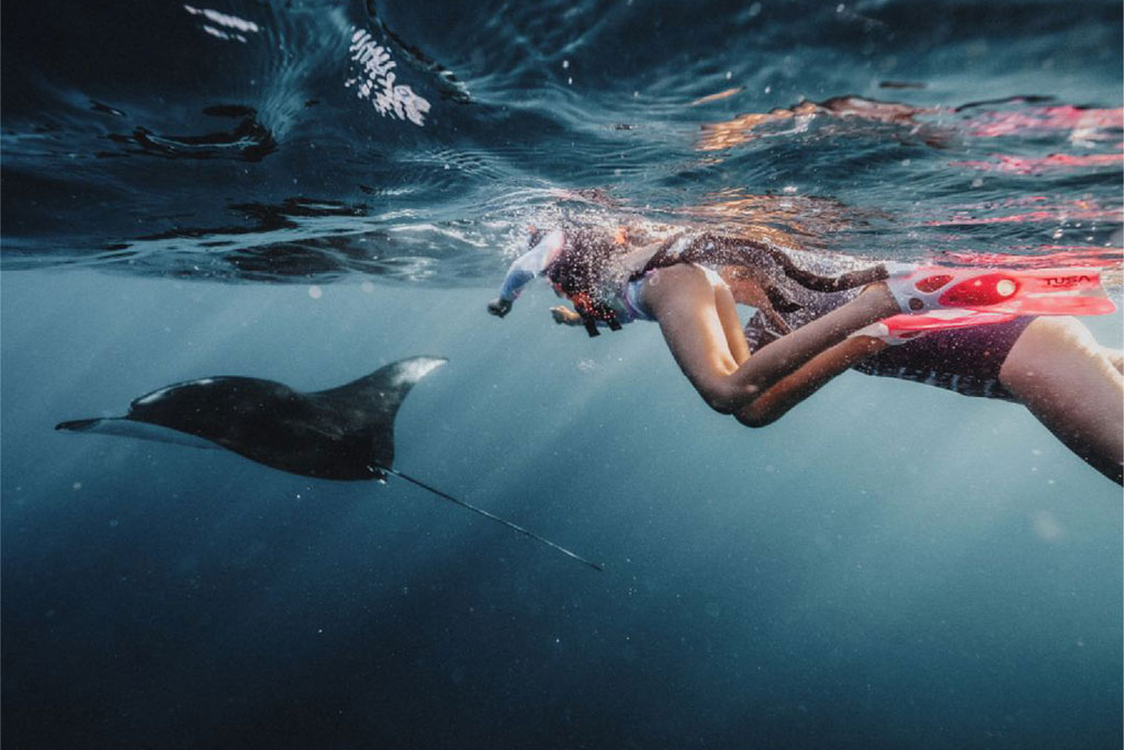 Snorkelling with Manta in Nusa Lembongan